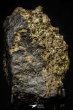 21445 - Partial NWA L-H Type Unclassified Ordinary Chondrite Meteorite 433.8g