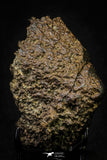 21445 - Partial NWA L-H Type Unclassified Ordinary Chondrite Meteorite 433.8g