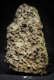 21447 - Partial NWA L-H Type Unclassified Ordinary Chondrite Meteorite 75.1g