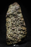 21447 - Partial NWA L-H Type Unclassified Ordinary Chondrite Meteorite 75.1g