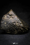 21447 - Partial NWA L-H Type Unclassified Ordinary Chondrite Meteorite 75.1g