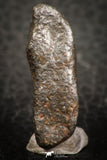 07436 - Fully Complete NWA L-H Type Unclassified Ordinary Chondrite Meteorite 11.0g