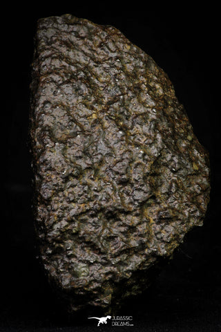 21448 - NWA Unclassified Chondrite Type LL3 Meteorite 229.7 g