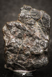 07437 - Fully Complete NWA L-H Type Unclassified Ordinary Chondrite Meteorite 9.0g