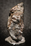 07437 - Fully Complete NWA L-H Type Unclassified Ordinary Chondrite Meteorite 9.0g