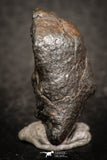 07437 - Fully Complete NWA L-H Type Unclassified Ordinary Chondrite Meteorite 9.0g