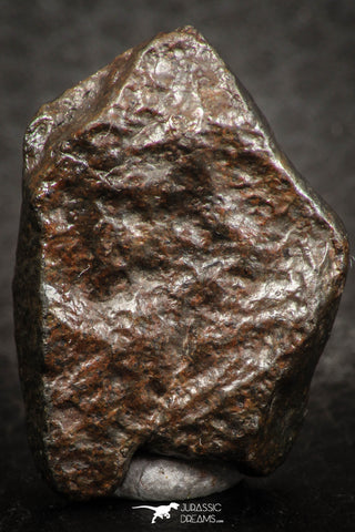07438 - Fully Complete NWA L-H Type Unclassified Ordinary Chondrite Meteorite 9.0g