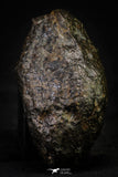 21450 -  Complete NWA L-H Type Unclassified Ordinary Chondrite Meteorite 144.3g