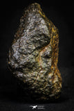 21450 -  Complete NWA L-H Type Unclassified Ordinary Chondrite Meteorite 144.3g