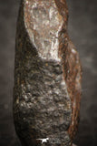 07438 - Fully Complete NWA L-H Type Unclassified Ordinary Chondrite Meteorite 9.0g