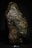 21450 -  Complete NWA L-H Type Unclassified Ordinary Chondrite Meteorite 144.3g