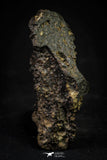 21451 - Partial NWA L-H Type Unclassified Ordinary Chondrite Meteorite 77.4g