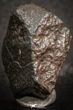 07439 - Fully Complete NWA L-H Type Unclassified Ordinary Chondrite Meteorite 14.0g