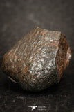 07439 - Fully Complete NWA L-H Type Unclassified Ordinary Chondrite Meteorite 14.0g