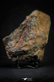 21452 - Partial NWA L-H Type Unclassified Ordinary Chondrite Meteorite 919.7g