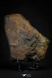 21452 - Partial NWA L-H Type Unclassified Ordinary Chondrite Meteorite 919.7g