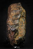 21452 - Partial NWA L-H Type Unclassified Ordinary Chondrite Meteorite 919.7g