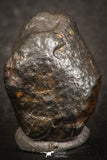 07440 - Fully Complete NWA L-H Type Unclassified Ordinary Chondrite Meteorite 8.0g