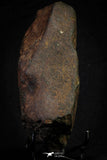 21452 - Partial NWA L-H Type Unclassified Ordinary Chondrite Meteorite 919.7g