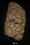 21453 - Complete NWA L-H Type Unclassified Ordinary Chondrite Meteorite 1052.9g