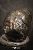 07440 - Fully Complete NWA L-H Type Unclassified Ordinary Chondrite Meteorite 8.0g