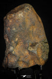 21453 - Complete NWA L-H Type Unclassified Ordinary Chondrite Meteorite 1052.9g