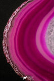 20384 -  Extremely Beautiful 6.34 Inch Brazilian Agate Slice (Chalcedony Geode Section)