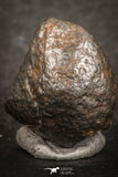 07441 - Fully Complete NWA L-H Type Unclassified Ordinary Chondrite Meteorite 4.0g