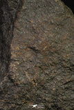 21454 - Almost Complete NWA Unclassified Ordinary Chondrite Meteorite 912.6g