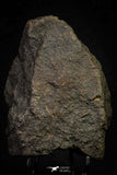 21454 - Almost Complete NWA Unclassified Ordinary Chondrite Meteorite 912.6g