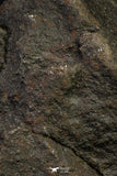 21454 - Almost Complete NWA Unclassified Ordinary Chondrite Meteorite 912.6g