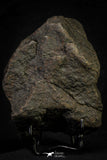 21454 - Almost Complete NWA Unclassified Ordinary Chondrite Meteorite 912.6g