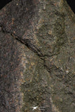 21454 - Almost Complete NWA Unclassified Ordinary Chondrite Meteorite 912.6g