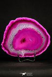 20385 -  Extremely Beautiful 5.27 Inch Brazilian Agate Slice (Chalcedony Geode Section)