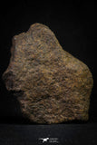 21455 - Almost Complete NWA Unclassified Ordinary Chondrite Meteorite 288.0g
