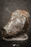 07442 - Fully Complete NWA L-H Type Unclassified Ordinary Chondrite Meteorite 3.0g