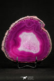 20386 -  Extremely Beautiful 4.67 Inch Brazilian Agate Slice (Chalcedony Geode Section)