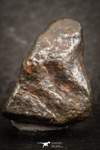 07443 - Fully Complete NWA L-H Type Unclassified Ordinary Chondrite Meteorite 3.0g