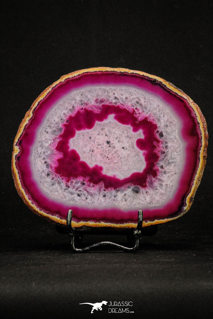 20387 -  Extremely Beautiful 5.06 Inch Brazilian Agate Slice (Chalcedony Geode Section)