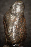07443 - Fully Complete NWA L-H Type Unclassified Ordinary Chondrite Meteorite 3.0g