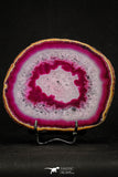 20387 -  Extremely Beautiful 5.06 Inch Brazilian Agate Slice (Chalcedony Geode Section)