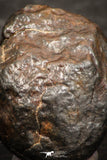 07444 - Fully Complete NWA L-H Type Unclassified Ordinary Chondrite Meteorite 3.0g
