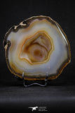 20388 -  Extremely Beautiful 5.19 Inch Brazilian Agate Slice (Chalcedony Geode Section)