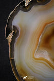 20388 -  Extremely Beautiful 5.19 Inch Brazilian Agate Slice (Chalcedony Geode Section)