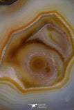 20388 -  Extremely Beautiful 5.19 Inch Brazilian Agate Slice (Chalcedony Geode Section)
