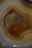 20388 -  Extremely Beautiful 5.19 Inch Brazilian Agate Slice (Chalcedony Geode Section)