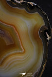 20388 -  Extremely Beautiful 5.19 Inch Brazilian Agate Slice (Chalcedony Geode Section)