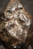 07444 - Fully Complete NWA L-H Type Unclassified Ordinary Chondrite Meteorite 3.0g
