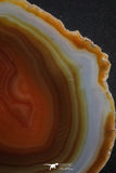20389 -  Extremely Beautiful 5.36 Inch Brazilian Agate Slice (Chalcedony Geode Section)