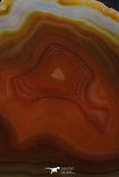20389 -  Extremely Beautiful 5.36 Inch Brazilian Agate Slice (Chalcedony Geode Section)